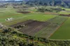 429 Mount Sylvia Road, Upper Tenthill, Qld 4343-Image