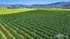 46 Hughes Road, Upper Barron, Qld 4883-Image