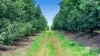 46 Hughes Road, Upper Barron, Qld 4883-Image