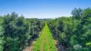 46 Hughes Road, Upper Barron, Qld 4883-Image