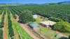 46 Hughes Road, Upper Barron, Qld 4883-Image