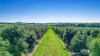 46 Hughes Road, Upper Barron, Qld 4883-Image