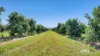 46 Hughes Road, Upper Barron, Qld 4883-Image