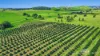 46 Hughes Road, Upper Barron, Qld 4883-Image