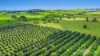 46 Hughes Road, Upper Barron, Qld 4883-Image