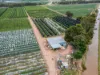 5160 Barmah-Shepparton Road, Bunbartha VIC 3634-Image