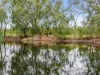 5160 Barmah-Shepparton Road, Bunbartha VIC 3634-Image