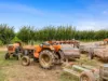 5160 Barmah-Shepparton Road, Bunbartha VIC 3634-Image