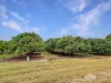 526 Mareeba-Dimbulah Road, Mareeba, Qld 4880-Image