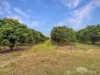 526 Mareeba-Dimbulah Road, Mareeba, Qld 4880-Image