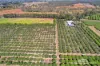 526 Mareeba-Dimbulah Road, Mareeba, Qld 4880-Image