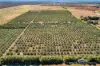 526 Mareeba-Dimbulah Road, Mareeba, Qld 4880-Image