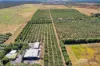 526 Mareeba-Dimbulah Road, Mareeba, Qld 4880-Image