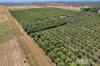 526 Mareeba-Dimbulah Road, Mareeba, Qld 4880-Image