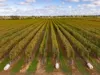 595 Channel Road, Shepparton VIC 3630-Image