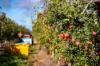 595 Channel Road, Shepparton VIC 3630-Image