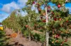 595 Channel Road, Shepparton VIC 3630-Image