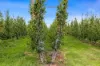 595 Channel Road, Shepparton VIC 3630-Image