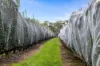 595 Channel Road, Shepparton VIC 3630-Image
