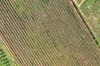 67 Garrett Road, Glossop SA 5344-Image