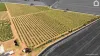 71 Bonomi Road, Willbriggie, NSW 2680-Image