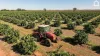 71 Bonomi Road, Willbriggie, NSW 2680-Image