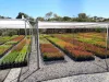 71 Yundi Road, Mount Compass, SA 5210-Image