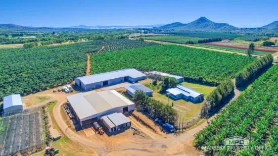 737 Channel Road, Walkamin, Qld 4872