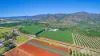 737 Channel Road, Walkamin, Qld 4872-Image