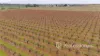 77 Milne Bay Road, Robinvale, Vic 3549-Image