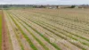 77 Milne Bay Road, Robinvale, Vic 3549-Image
