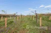 77 Milne Bay Road, Robinvale, Vic 3549-Image