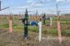 77 Milne Bay Road, Robinvale, Vic 3549-Image