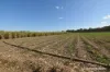 8 Cloyne Rd, McIlwraith, Qld 4671-Image