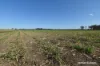 8 Cloyne Rd, McIlwraith, Qld 4671-Image