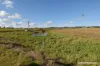 8 Cloyne Rd, McIlwraith, Qld 4671-Image