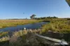8 Cloyne Rd, McIlwraith, Qld 4671-Image