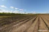 8 Cloyne Rd, McIlwraith, Qld 4671-Image
