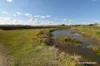 8 Cloyne Rd, McIlwraith, Qld 4671-Image