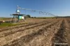 8 Cloyne Rd, McIlwraith, Qld 4671-Image