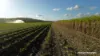 8 Cloyne Rd, McIlwraith, Qld 4671-Image