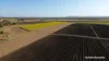 8 Cloyne Rd, McIlwraith, Qld 4671-Image