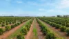 82 Murdoch Road, Kooba NSW 2680-Image