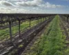 82 Murdoch Road, Kooba NSW 2680-Image