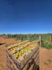945 North River Road, North Plantations, WA 6701-Image