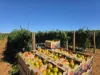 945 North River Road, North Plantations, WA 6701-Image