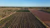 945 North River Road, North Plantations, WA 6701-Image