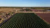 945 North River Road, North Plantations, WA 6701-Image