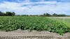95 Teal Park Place (Neergabby), Gingin, WA 6503-Image