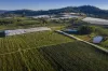 98 Mill Road, Batlow, NSW 2730-Image